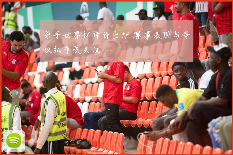 杀手世界杯评价出炉 赛事表现与争议细节受关注