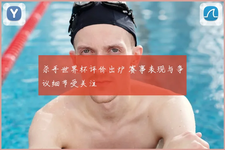杀手世界杯评价出炉 赛事表现与争议细节受关注