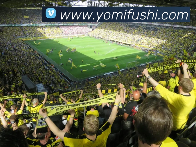 bsports官网登录入口品牌故事