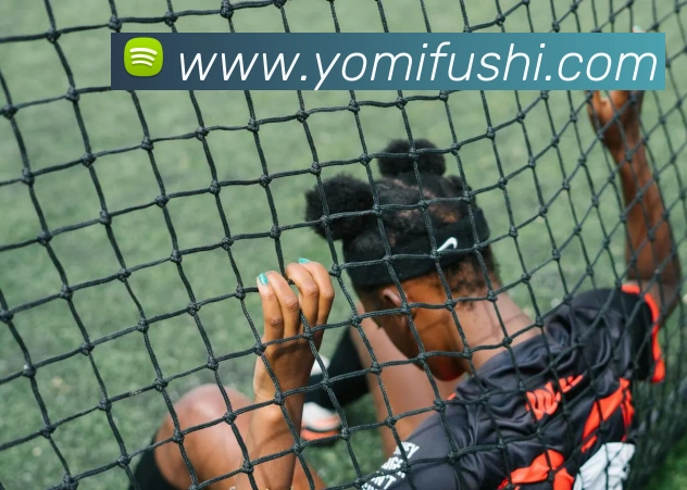 bsports官网登录入口APP 体育赛事宣传图